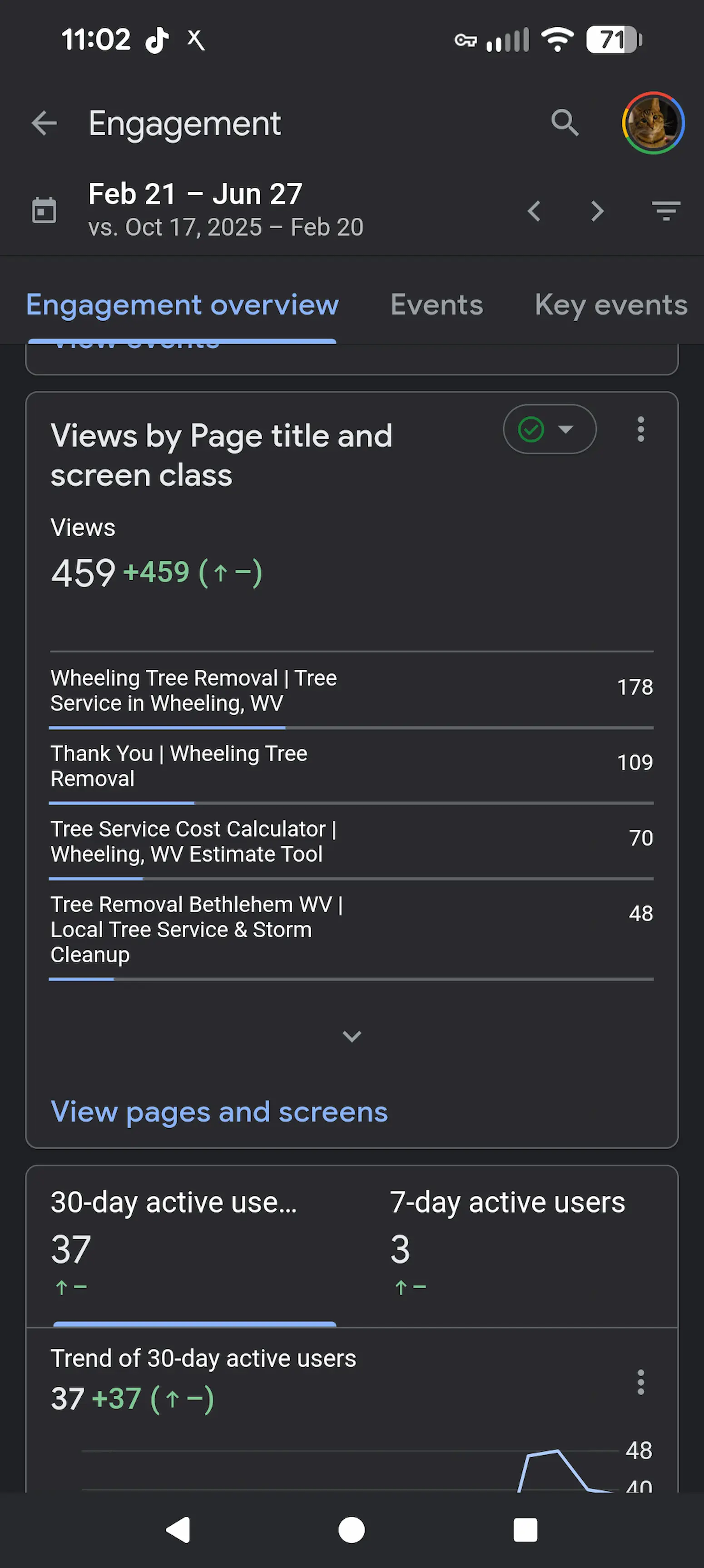 Google Analytics report showing views by page