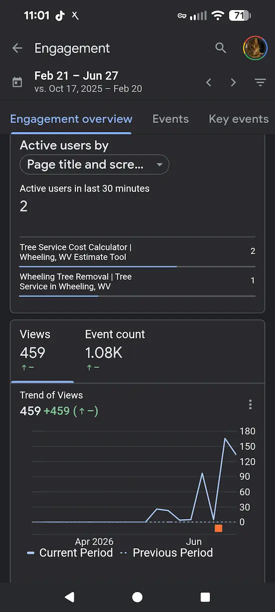 Google Analytics trend showing website views increasing
